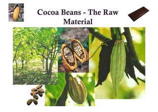 Cocoa Beans - The Raw
      Material
 