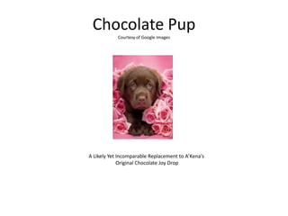 Chocolate Pup
Courtesy of Google Images
A Likely Yet Incomparable Replacement to A’Kena’s
Original Chocolate Joy Drop
 