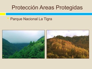 Protección Areas Protegidas
• Parque Nacional La Tigra
 