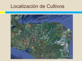 Localización de Cultivos
 