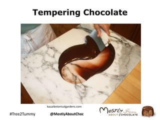 Tempering Chocolate 
kauaibotanicalgardens.com 
#Tree2Tummy @MostlyAboutChoc 
 