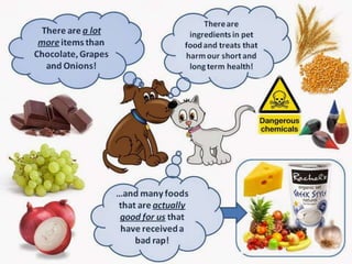 Image showcasing Chocolate toxicity in animals by Dr.Amandeep | PPT | Free Download