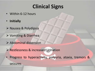 Chocolate toxicity in animals by Dr.Amandeep | PPTX