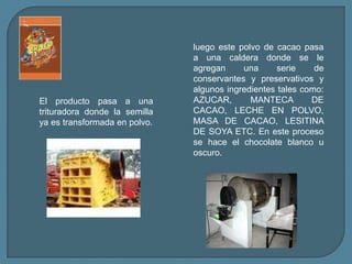 luego este polvo de cacao pasa a una caldera donde se le agregan una serie de conservantes y preservativos y algunos ingredientes tales como: AZUCAR, MANTECA DE CACAO, LECHE EN POLVO, MASA DE CACAO, LESITINA DE SOYA ETC. En este proceso se hace el chocolate blanco u oscuro.El producto pasa a una trituradora donde la semilla ya es transformada en polvo.