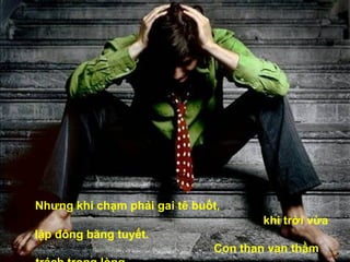 Nhưng khi chạm phải gai tê buốt,  khi trời vừa lập đông băng tuyết.  Con than van thầm trách trong lòng,  con mới biết niềm tin con rỗng không.   