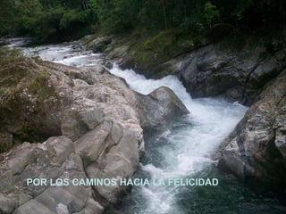 POR LOS CAMINOS HACIA LA FELICIDAD