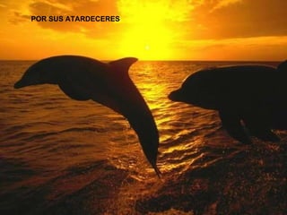 POR SUS ATARDECERES