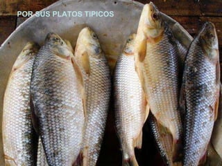 POR SUS PLATOS TIPICOS