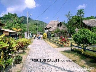 POR SUS CALLES: CAPURGANA