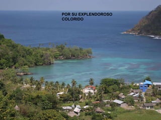 POR SU EXPLENDOROSO COLORIDO