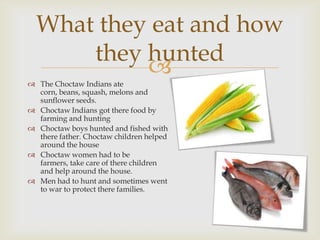 
 The Choctaw Indians ate
corn, beans, squash, melons and
sunflower seeds.
 Choctaw Indians got there food by
farming and hunting
 Choctaw boys hunted and fished with
there father. Choctaw children helped
around the house
 Choctaw women had to be
farmers, take care of there children
and help around the house.
 Men had to hunt and sometimes went
to war to protect there families.
What they eat and how
they hunted
 