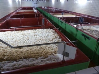 Chodovar "Santuário da Cerveja"