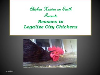 Chicken Heaven on Earth
Presents
Reasons to
Legalize City Chickens
1/28/2015
 