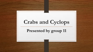 Crabs and Cyclops
Presented by group 11
 