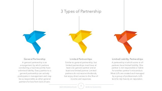 Startup Basic 1 Choice Of Entities