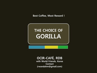 THE CHOICE OF
GORILLA
Best Coffee, Most Reward !
OCIR-CAFÉ, RDB
with World Friends, Korea
Contact
(rwandahm@gmail.com)
 