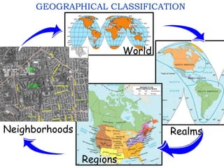 GEOGRAPHICAL CLASSIFICATION
World
Realms
Regions
Neighborhoods
 