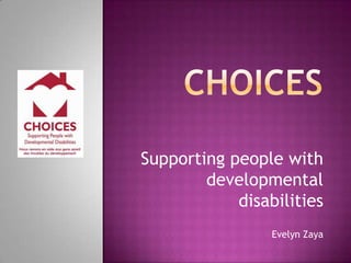 Supporting people with
developmental
disabilities
Evelyn Zaya
 