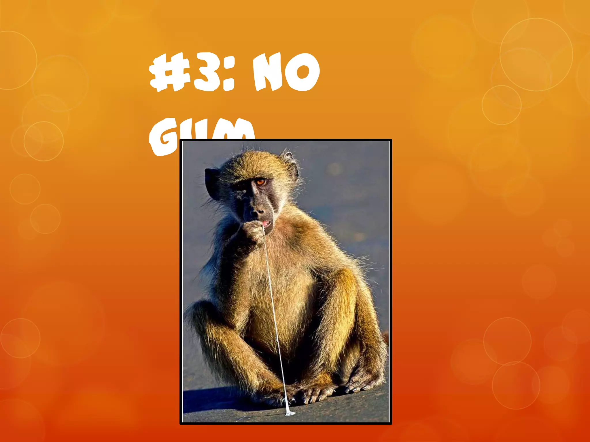 #3: No gum