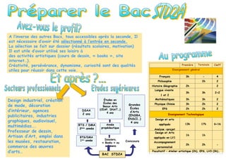 A l’inverse des autres Bacs, tous accessibles après la seconde, Il
est nécessaire d’avoir été sélectionné à l’entrée en seconde.
La sélection se fait sur dossier (résultats scolaires, motivation)
Il est utile d’avoir utilisé ses loisirs à
des activités artistiques (cours de dessin, « books », site
internet…).
Créativité, persévérance, dynamisme, curiosité sont des qualités
utiles pour réussir dans cette voie.
Première Terminale Cœff
Enseignement général
Français 3h - 4
Philosophie 2h 2
Histoire Géographie 2h 2
Langue vivante
1 et 2
3h 3h 2+2
Mathématiques 3h 3h 2
Physique Chimie 3h 2h 2
EPS 2h 2h 2
Enseignement Technologique
Design et arts
appliqués
Analyse +projet
13h 17h 6+16
Design et Arts
appliqués en LV1
1h 1h
Accompagnement
personnalisé
2h 2h -
Facultatif : Atelier artistique (2h), EPS, LV3 (3h)…
Design industriel, création
de mode, décoration
d’intérieur, agences
publicitaires, industries
graphiques, audiovisuel,
multimédias….
Professeur de dessin,
Artisan d’Art, emploi dans
les musées, restauration,
commerce des œuvres
d’arts…
Dossiers,
« Books » ou
examens
Concours
BAC STD2A
BTS/DMA
1ère
année
Études en
Écoles des
Beaux Arts
(CEAP, DNAT…)
4 ans
Année
propédeutique
DSAA
2 ans
BTS / DMA
2ème année
Grandes
Écoles
d’Arts
(ENSBA,
ENSCI…)
4 ans
 