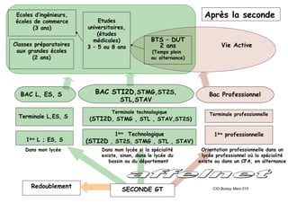 1ère
Technologique
(STI2D , ST2S, STMG , STL , STAV)
Terminale technologique
(STI2D, STMG , STL , STAV,ST2S)
1ère
professionnelle
Terminale professionnelle
Redoublement
SECONDE GT
Dans mon lycée si la spécialité
existe, sinon, dans le lycée du
bassin ou du département
Orientation professionnelle dans un
lycée professionnel où la spécialité
existe ou dans un CFA, en alternance
Vie ActiveClasses préparatoires
aux grandes écoles
(2 ans)
Etudes
universitaires,
(études
médicales)
3 – 5 ou 8 ans
Ecoles d’ingénieurs,
écoles de commerce
(3 ans)
BTS – DUT
2 ans
(Temps plein
ou alternance)
BAC STI2D,STMG,ST2S,
STL,STAV
Bac Professionnel
CIO Boissy Mars 015
Après la seconde
Dans mon lycée
1ère
L ; ES, S
Terminale L,ES, S
BAC L, ES, S
 