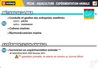  Conduite   et gestion des entreprises maritimes
    option : pêche
    option : commerce
 Cultures   marines
 Électromécanicien     marine




 Technicien   en expérimentation animale **
  NOUVEAU BAC PRO Rentrée 2011
         ** appellation probable, en attente de création au Journal officiel
 
