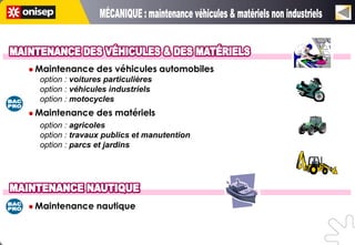  Maintenance    des véhicules automobiles
  option : voitures particulières
  option : véhicules industriels
  option : motocycles
 Maintenance    des matériels
  option : agricoles
  option : travaux publics et manutention
  option : parcs et jardins




 Maintenance    nautique
 