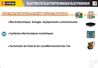  Électrotechnique,   énergie, équipements communicants



 Systèmes   électroniques numériques



 Technicien   du froid et du conditionnement de l’air
 