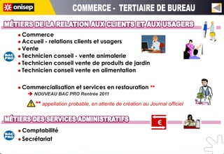  Commerce
 Accueil   - relations clients et usagers
 Vente
 Technicien conseil - vente animalerie
 Technicien conseil vente de produits de jardin
 Technicien conseil vente en alimentation



 Commercialisation     et services en restauration **
    NOUVEAU BAC PRO Rentrée 2011

      ** appellation probable, en attente de création au Journal officiel


                                                             €
 Comptabilité

 Secrétariat
 