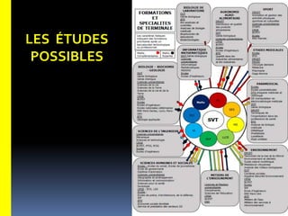 LES ÉTUDES
POSSIBLES
 