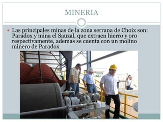 MINERIA
 Las principales minas de la zona serrana de Choix son:
Paradox y mina el Sauzal, que extraen hierro y oro
respectivamente, ademas se cuenta con un molino
minero de Paradox
 