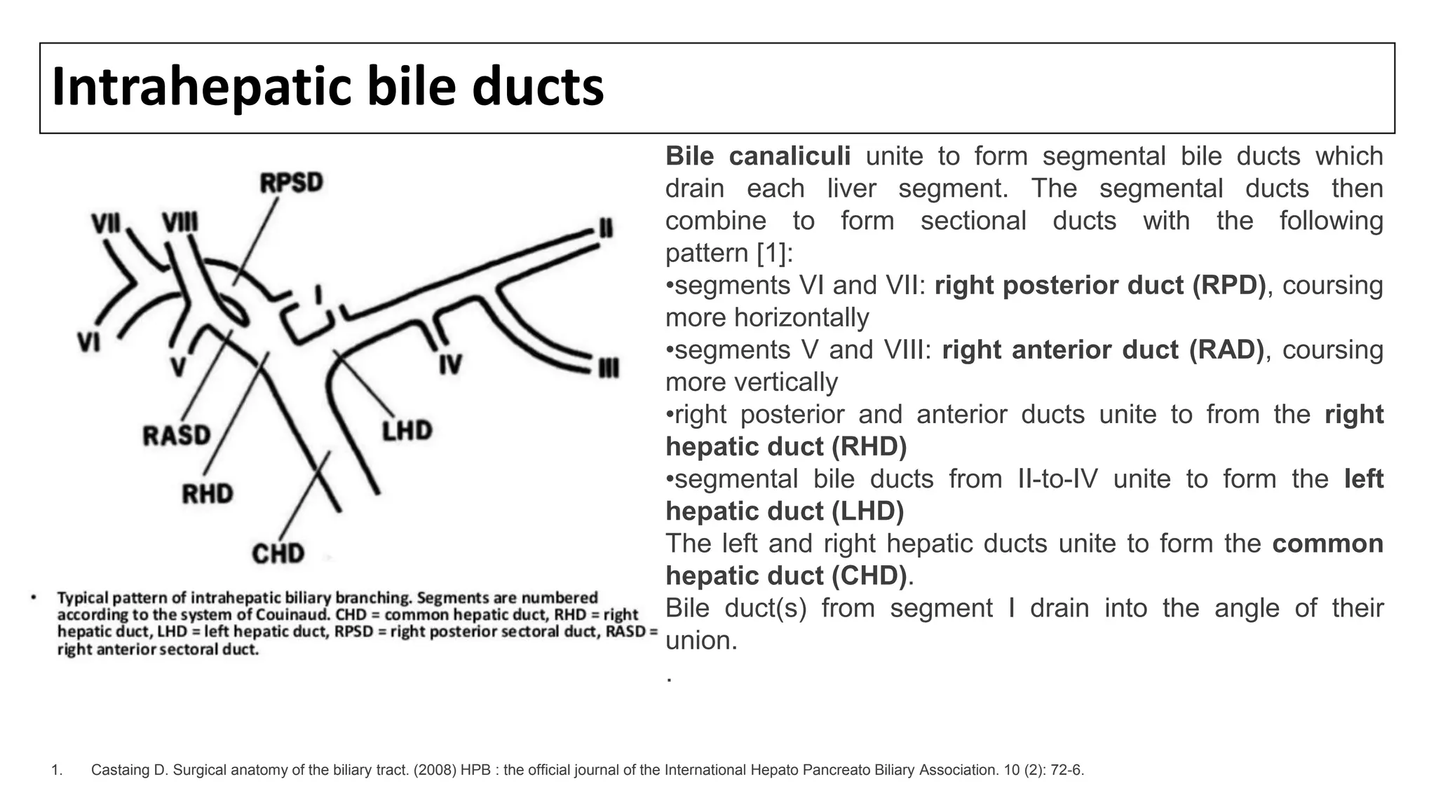 Intrahepatic bile ducts
Bile canaliculi unite to form segmental bile ducts which
drain each liver segment. The segmental ducts then
combine to form sectional ducts with the following
pattern [1]:
•segments VI and VII: right posterior duct (RPD), coursing
more horizontally
•segments V and VIII: right anterior duct (RAD), coursing
more vertically
•right posterior and anterior ducts unite to from the right
hepatic duct (RHD)
•segmental bile ducts from II-to-IV unite to form the left
hepatic duct (LHD)
The left and right hepatic ducts unite to form the common
hepatic duct (CHD).
Bile duct(s) from segment I drain into the angle of their
union.
.
1. Castaing D. Surgical anatomy of the biliary tract. (2008) HPB : the official journal of the International Hepato Pancreato Biliary Association. 10 (2): 72-6.
 