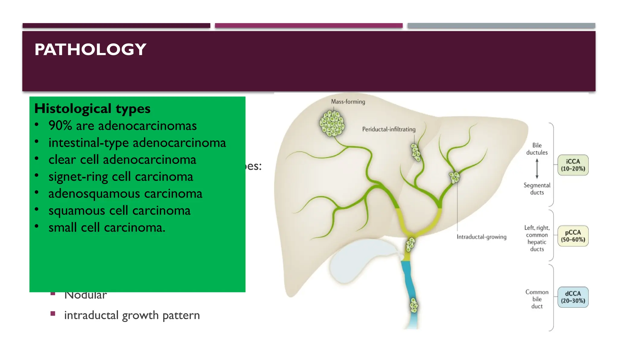 Cholangiocarcinoma, risk factors,types,clinical features,managment,ESMO ...