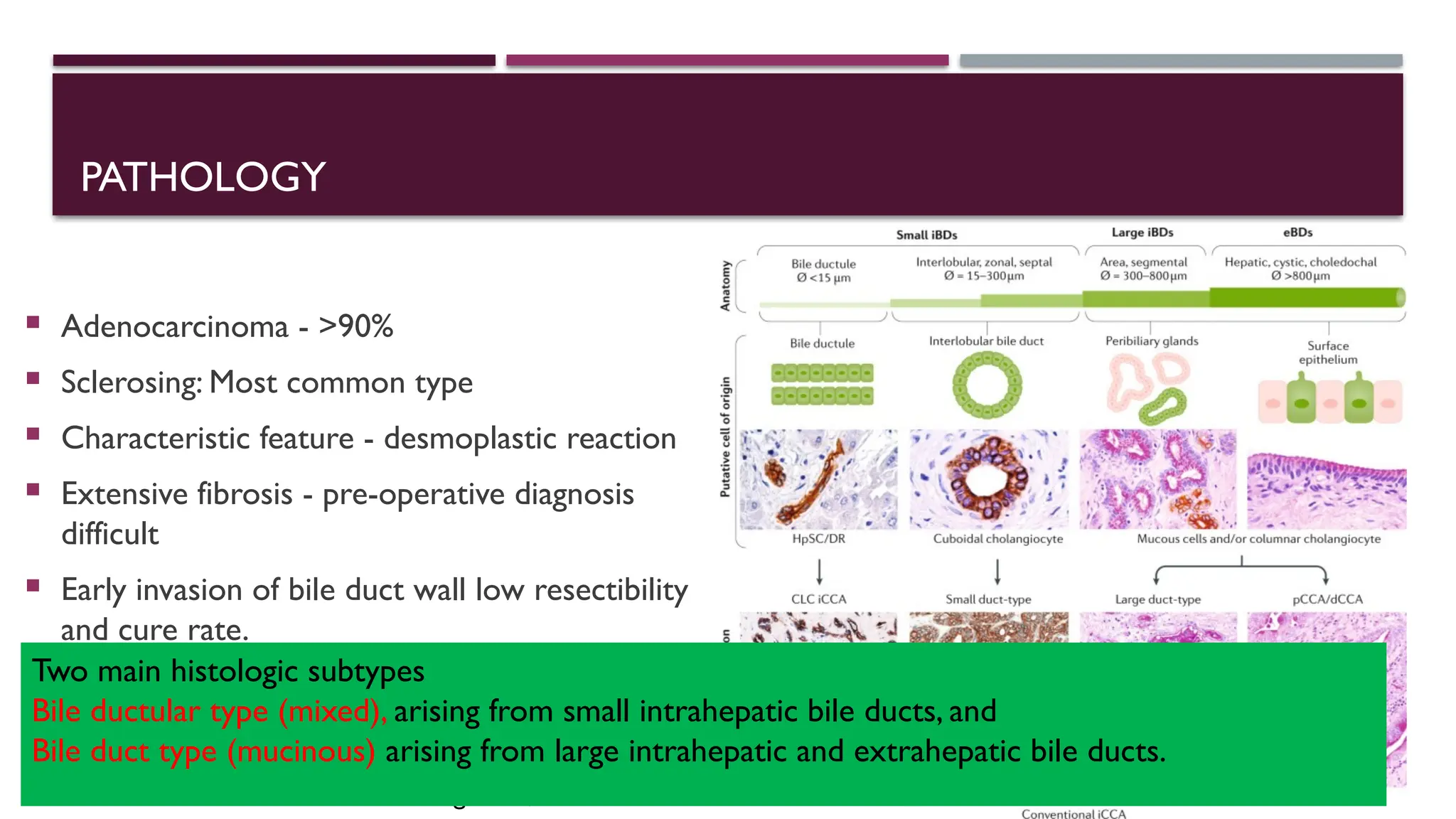 Cholangiocarcinoma, risk factors,types,clinical features,managment,ESMO ...