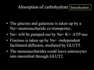 • The glucose and galactose is taken up by a
Na+-monosaccharide co-transporter,.
• Na+ will be pumped out by Na+ K+–ATP-ase.
• Fructose is taken up by Na+ -independent
facilitated-diffusion, mediated by GLUT5.
• The monosaccharides could leave enterocytes
into interstitial through GLUT2.
Absorption of carbohydrate Introduction
 