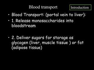• Blood Transport: (portal vein to liver):
• 1. Release monosaccharides into
bloodstream
• 2. Deliver sugars for storage as
glycogen (liver, muscle tissue ) or fat
(adipose tissue)
Blood transport Introduction
 