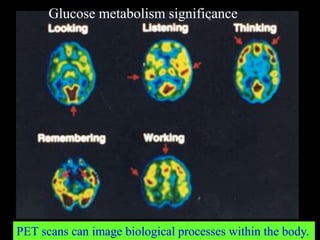 PET scans can image biological processes within the body.
Glucose metabolism significance
 