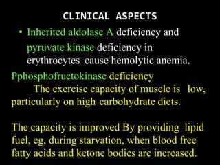 • Inherited aldolase A deficiency and
pyruvate kinase deficiency in
erythrocytes cause hemolytic anemia.
CLINICAL ASPECTS
Pphosphofructokinase deficiency
The exercise capacity of muscle is low,
particularly on high carbohydrate diets.
The capacity is improved By providing lipid
fuel, eg, during starvation, when blood free
fatty acids and ketone bodies are increased.
 