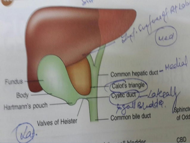 Cholecystectomy open versus laparoscopic surgery