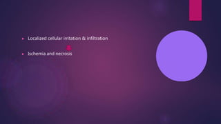 ▶ Localized cellular irritation & infiltration
▶ Ischemia and necrosis
 