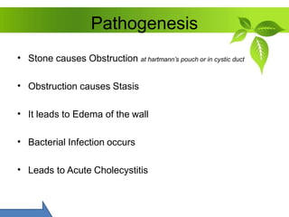 Pathogenesis
• Stone causes Obstruction at hartmann’s pouch or in cystic duct
• Obstruction causes Stasis
• It leads to Ed...