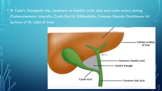Cholecystitis.pptx inflammatory condition of Gallbladder | PPTX