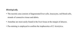 Histologically,
• The necrotic area consists of degenerated liver cells, leucocytes, red blood cells,
strands of connective tissue and debris.
• Amoebae are most easily found in the liver tissue at the margin of abscess.
• Pas-staining is employed to confirm the trophozoites of E. histolytica.
 