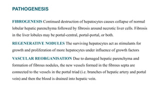PATHOGENESIS
FIBROGENESIS Continued destruction of hepatocytes causes collapse of normal
lobular hepatic parenchyma followed by fibrosis around necrotic liver cells. Fibrosis
in the liver lobules may be portal-central, portal-portal, or both.
REGENERATIVE NODULES The surviving hepatocytes act as stimulants for
growth and proliferation of more hepatocytes under influence of growth factors
VASCULAR REORGANISATION Due to damaged hepatic parenchyma and
formation of fibrous nodules, the new vessels formed in the fibrous septa are
connected to the vessels in the portal triad (i.e. branches of hepatic artery and portal
vein) and then the blood is drained into hepatic vein.
 