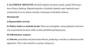 2. ALCOHOLIC HEPATITIS Alcoholic hepatitis develops acutely, usually following a
bout of heavy drinking. Repeated episodes of alcoholic hepatitis super imposed on pre-
existing fatty liver are almost certainly a forerunner of alcoholic cirrhosis.
Histologically
i) Hepatocellular necrosis
ii) Mallory bodies or alcoholic hyalin: These are eosinophilic, intracytoplasmic inclusions
seen in perinuclear location within swollen and ballooned hepatocytes.
iii) Inflammatory response
iv) Fibrosis: pericellular and perivenular fibrosis, producing a web-like or chickenwire-like
appearance. This is also termed as creeping collagenosis.
 