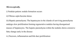 Microscopically,
i) Nodular pattern: nodule formation occurs
ii) Fibrous septa become dense.
iii) Hepatic parenchyma: The hepatocytes in the islands of surviving parenchyma
undergo slow proliferation forming regenerative nodules having disorganised
masses of hepatocytes. The hepatic parenchyma within the nodules shows extensive
fatty change early in the disease
iv) Necrosis, inflammation and bile duct proliferation:
 