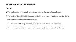 MORPHOLOGIC FEATURES
Grossly,
The gallbladder is generally contracted but may be normal or enlarged.
The wall of the gallbladder is thickened which on cut section is grey-white due to
dense fibrosis or may be even calcified.
The mucosal folds may be intact, thickened, or flattened and atrophied.
The lumen commonly contains multiple mixed stones or a combined stone.
 