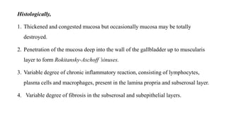 Histologically,
1. Thickened and congested mucosa but occasionally mucosa may be totally
destroyed.
2. Penetration of the mucosa deep into the wall of the gallbladder up to muscularis
layer to form Rokitansky-Aschoff ’sinuses.
3. Variable degree of chronic inflammatory reaction, consisting of lymphocytes,
plasma cells and macrophages, present in the lamina propria and subserosal layer.
4. Variable degree of fibrosis in the subserosal and subepithelial layers.
 