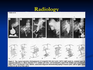 Radiology
Radiology
 