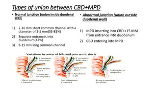 Types of union between CBD+MPD
• Normal junction (union inside duodenal
wall)
1) 2-10 mm short common channel with a
diameter of 3-5 mm(55-85%)
2) Separate entrances into
duodenum(42%)
3) 8-15 mm long common channel
• Abnormal junction (union outside
duodenal wall)
1) MPD inserting into CBD >15 MM
from entrance into duodenum
2) CBD entering into MPD
 